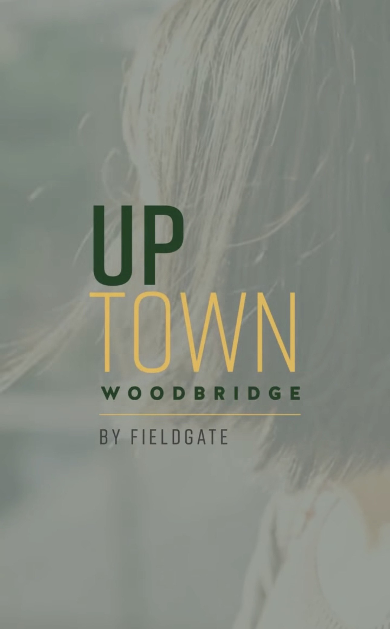UpTown Woodbridge new construction rendering 6