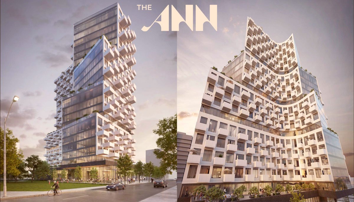 The Ann