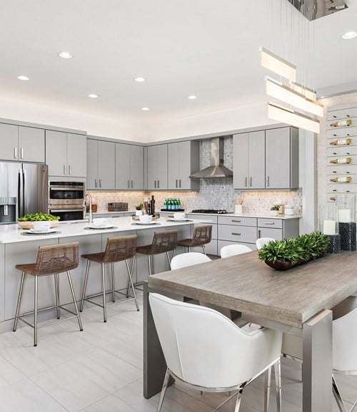 Valencia Vista at Riverland — interior rendering