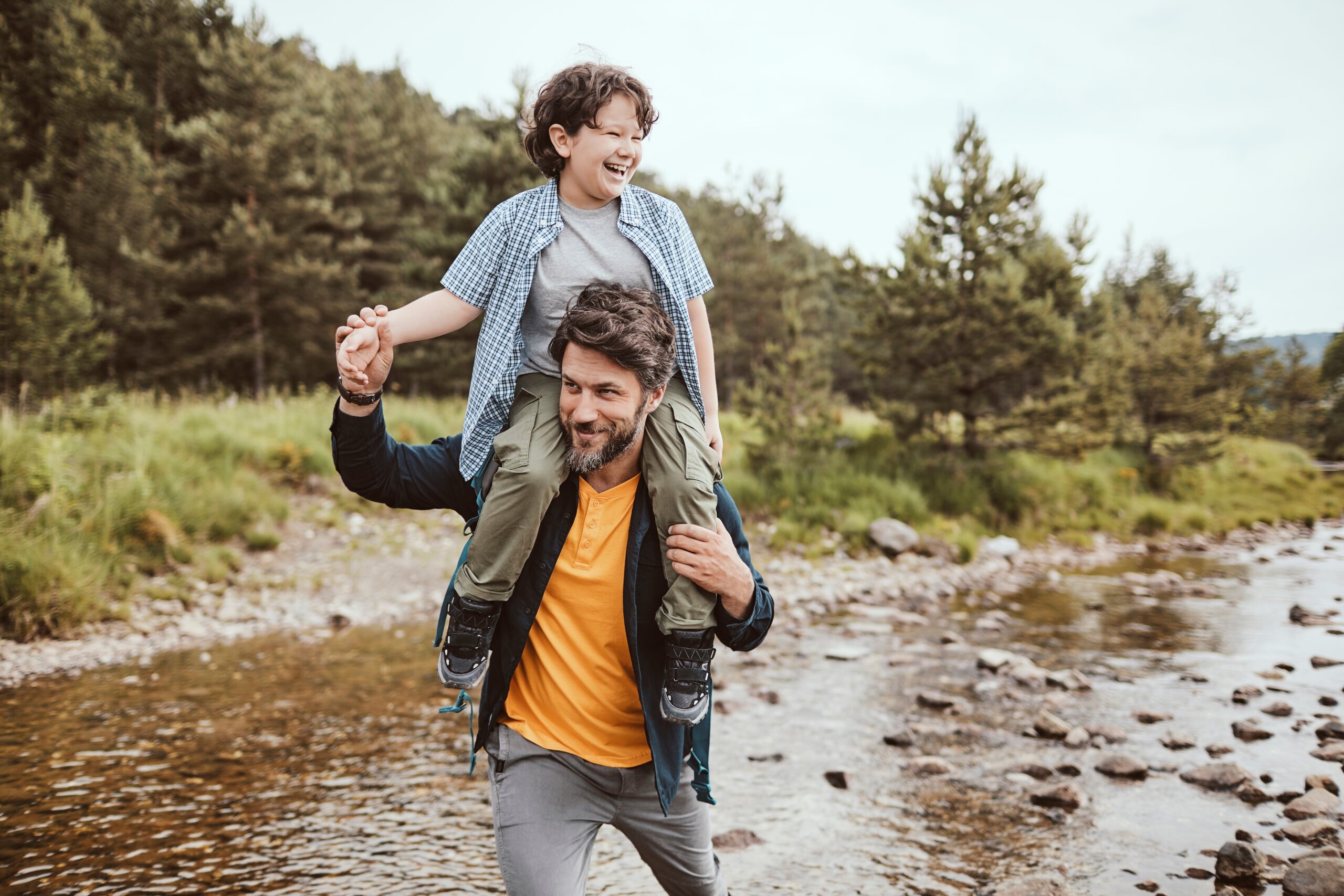 The Ironwood Collection — lifestyle amenity