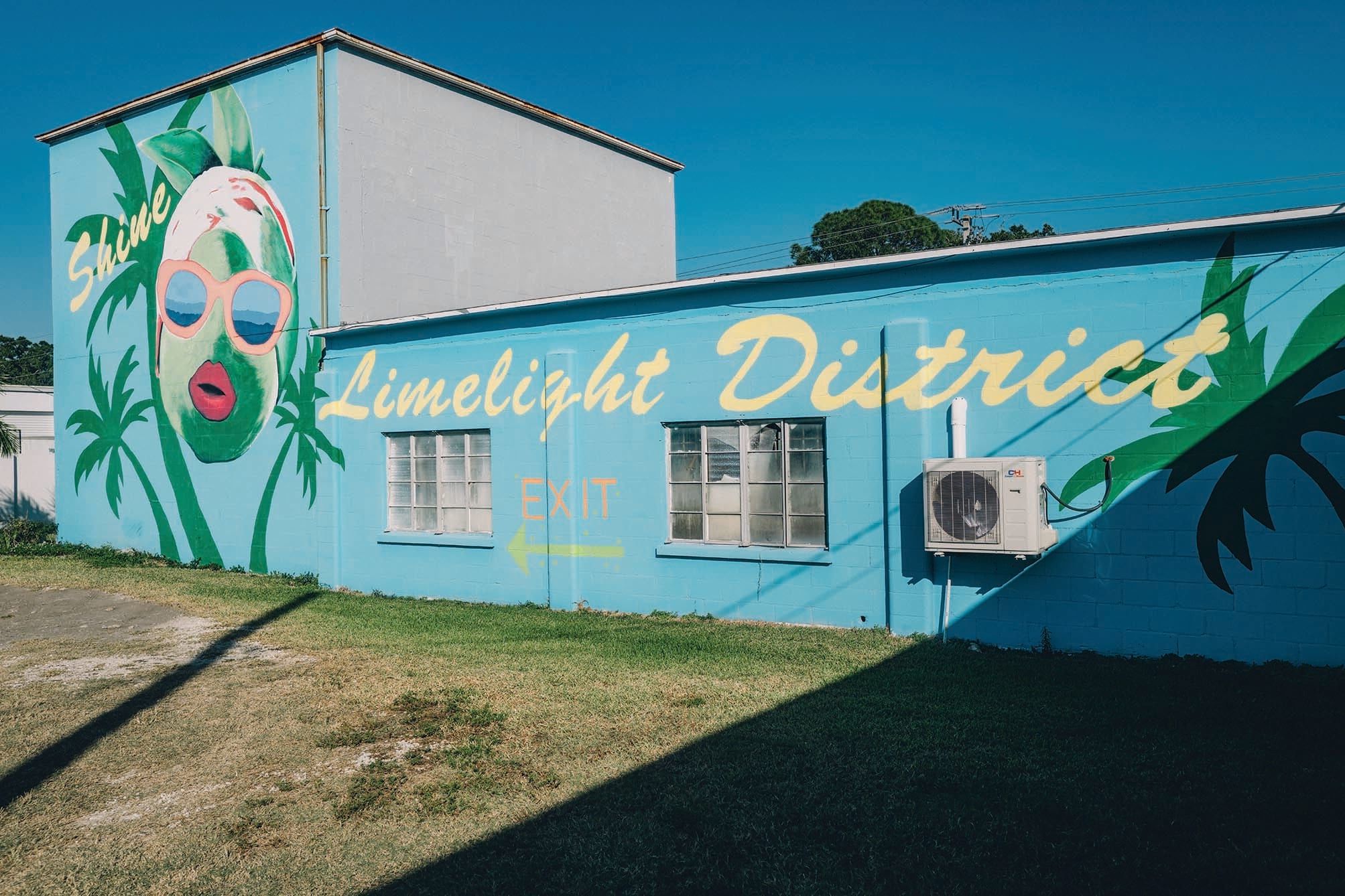 Alton Palmetto — photo building