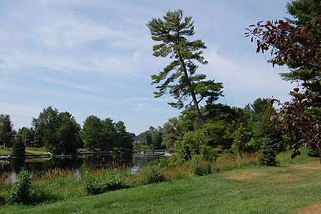 BRACEBRIDGE – Waterways of Muskoka — lifestyle amenity