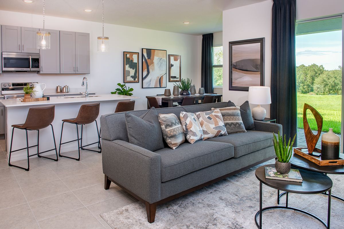 Mirror Lake Village — interior rendering