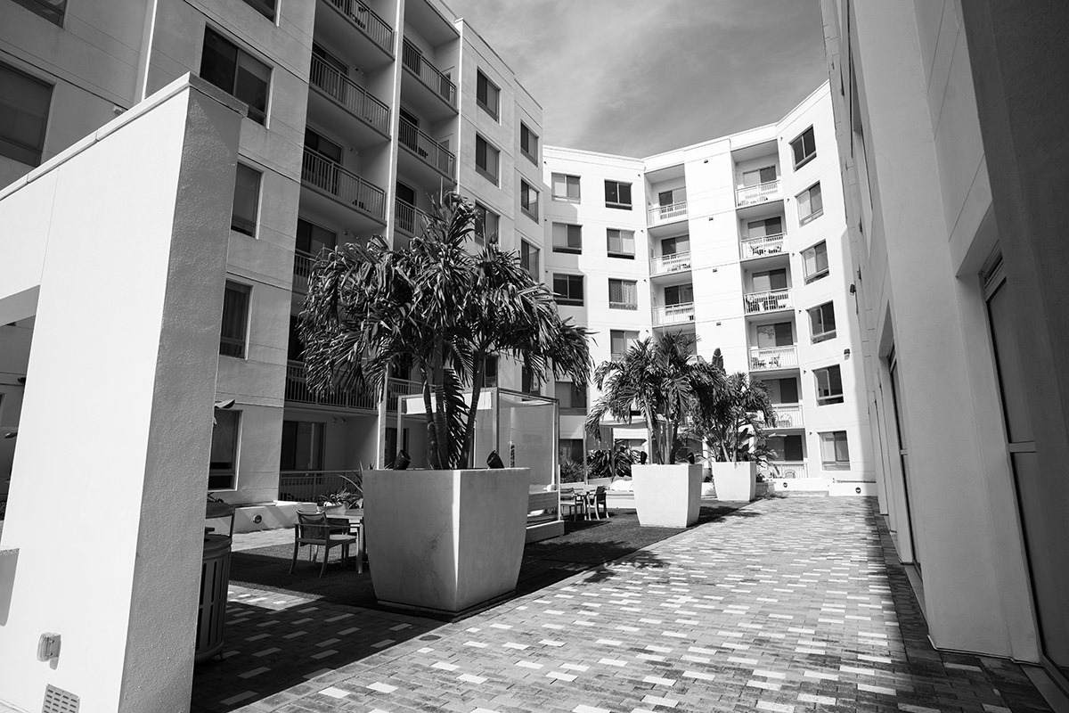Camden Thornton Park — lifestyle amenity