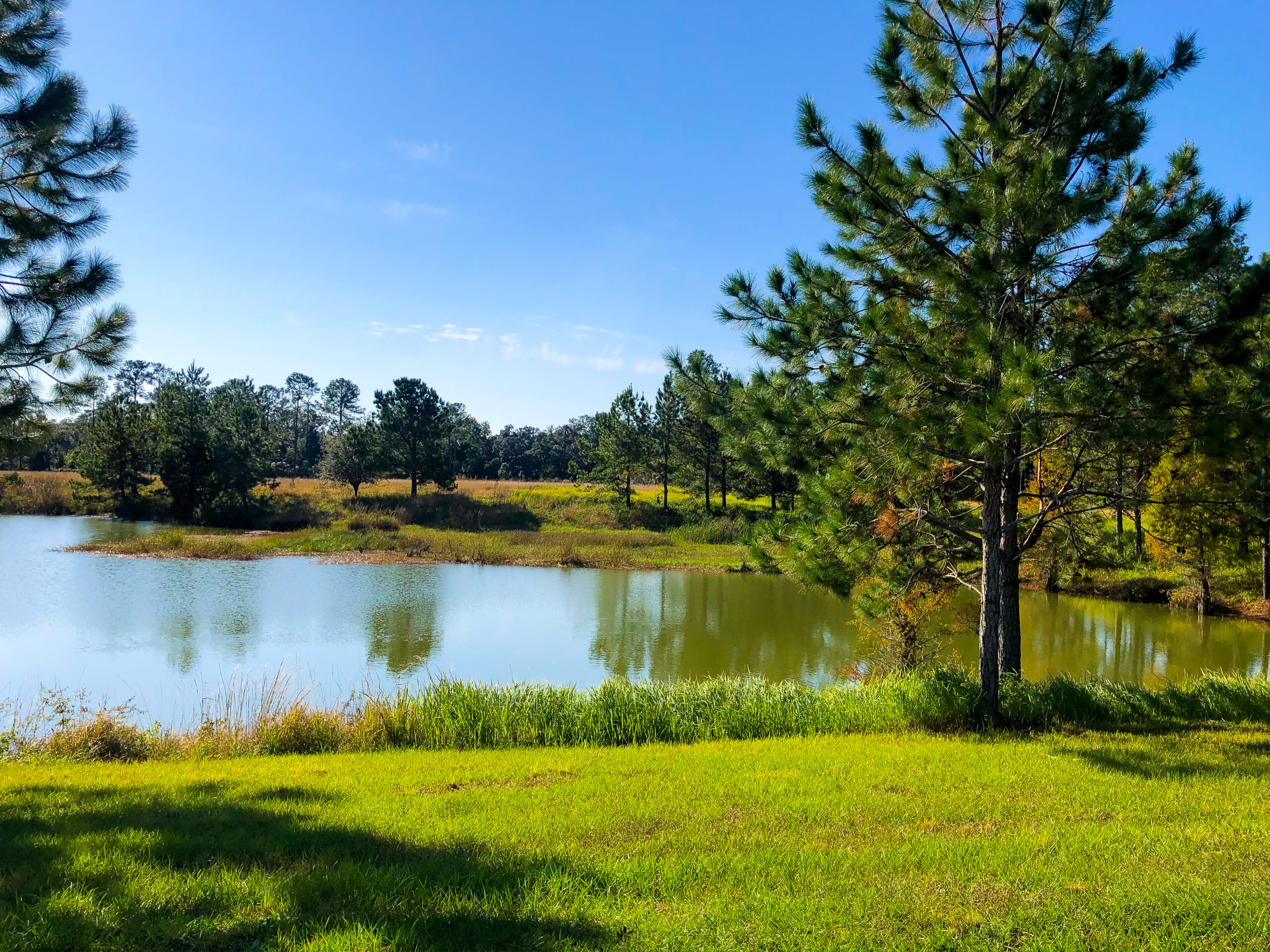 Southern Pines — lifestyle amenity