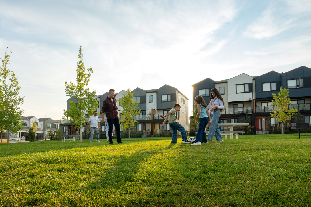 Belvedere Rise — lifestyle amenity