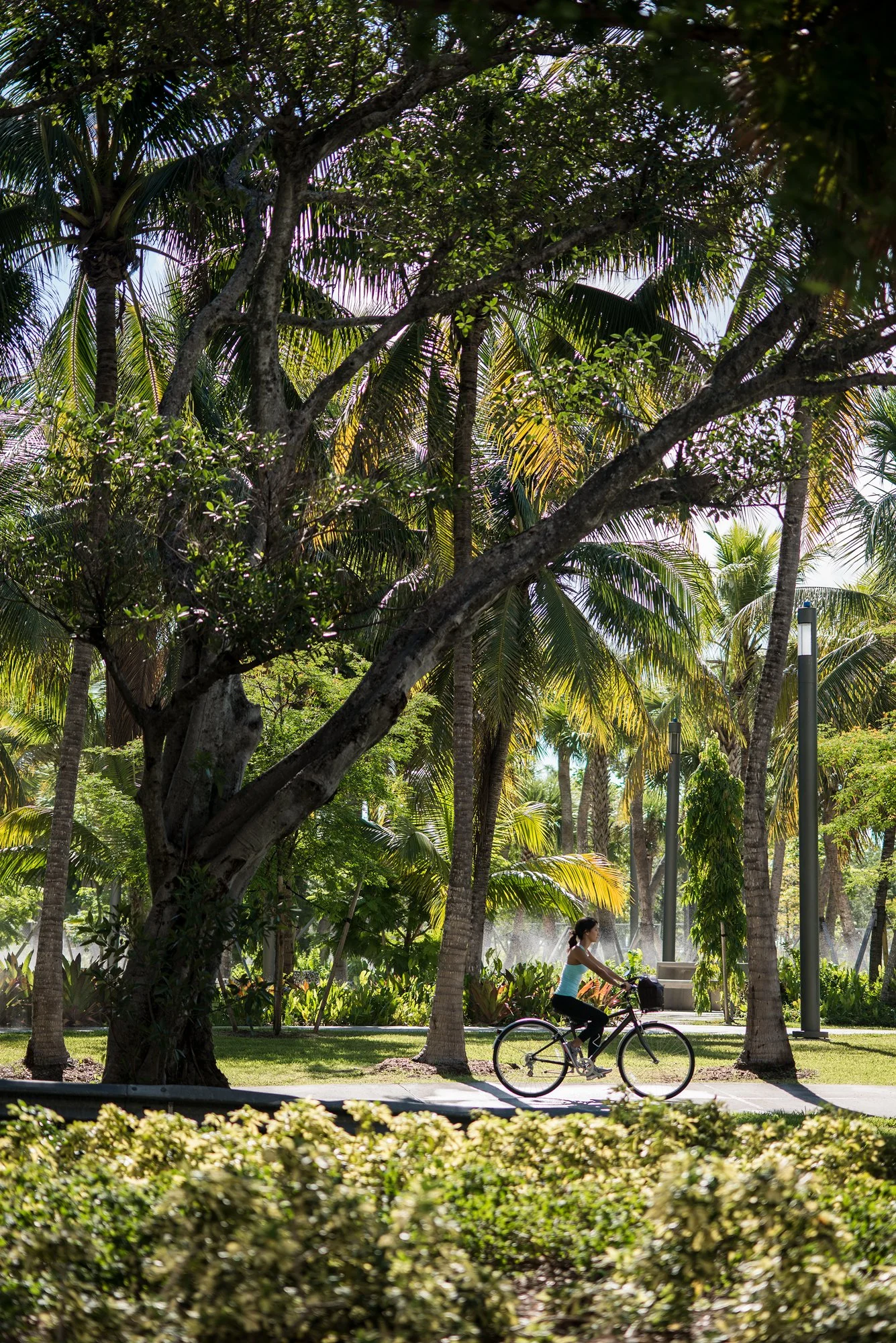 Arbor Coconut Grove — lifestyle amenity