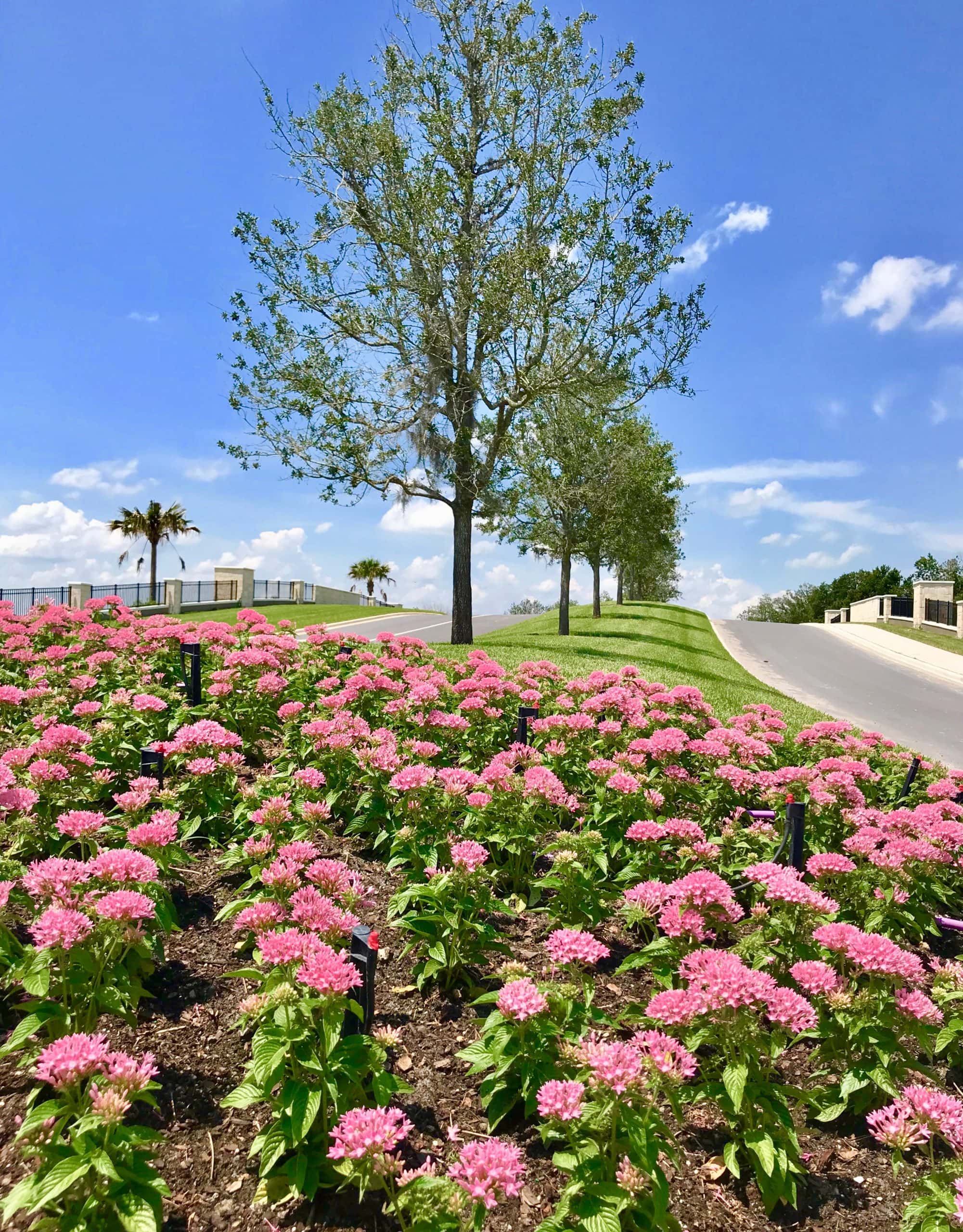Chapel Pines — lifestyle amenity