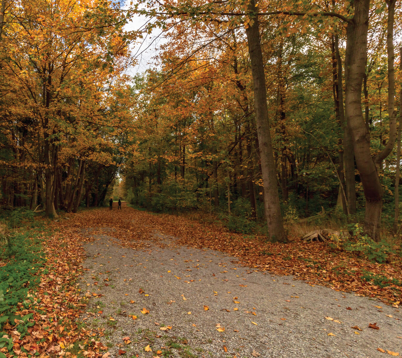 Markham/Unionglen — lifestyle amenity