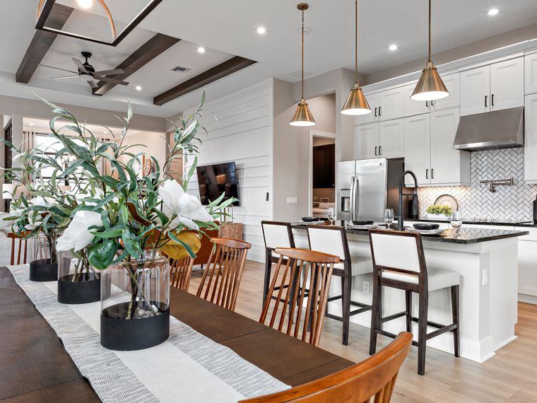 The Cove at Park Trace — interior rendering