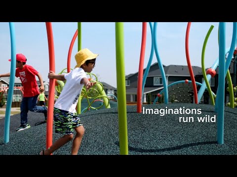 Belmont — lifestyle amenity