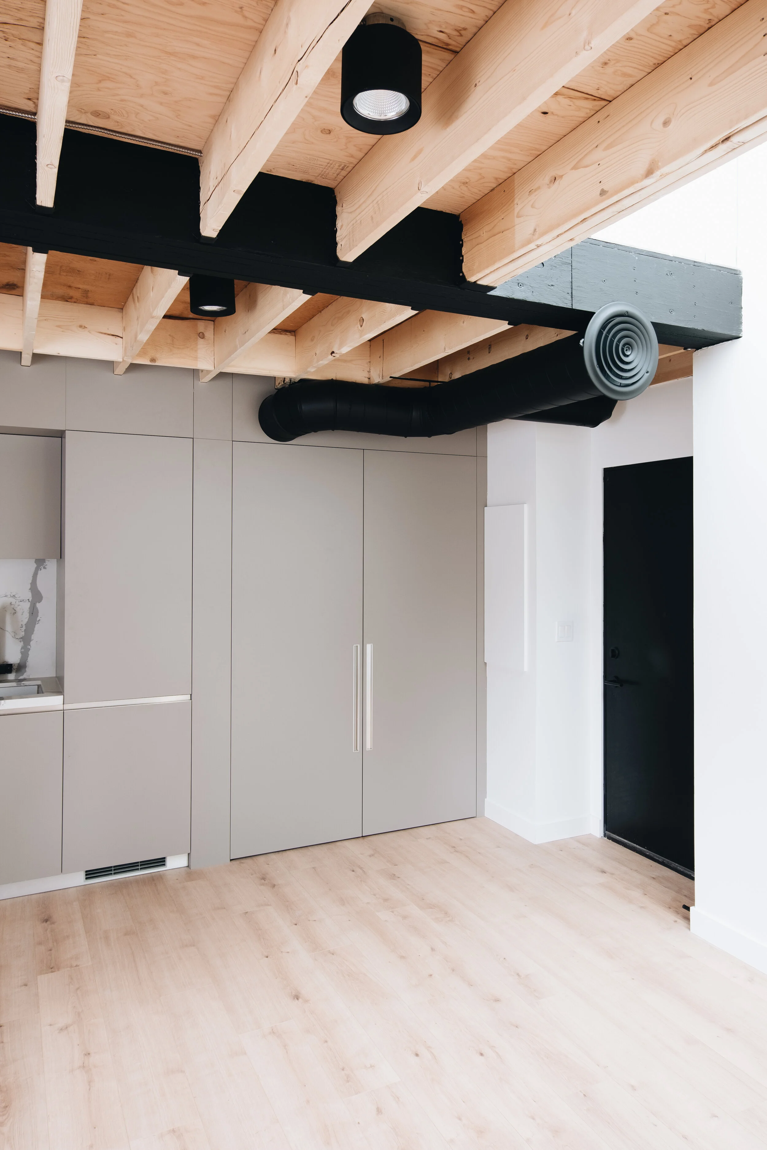 Mackay Laneway House — interior rendering