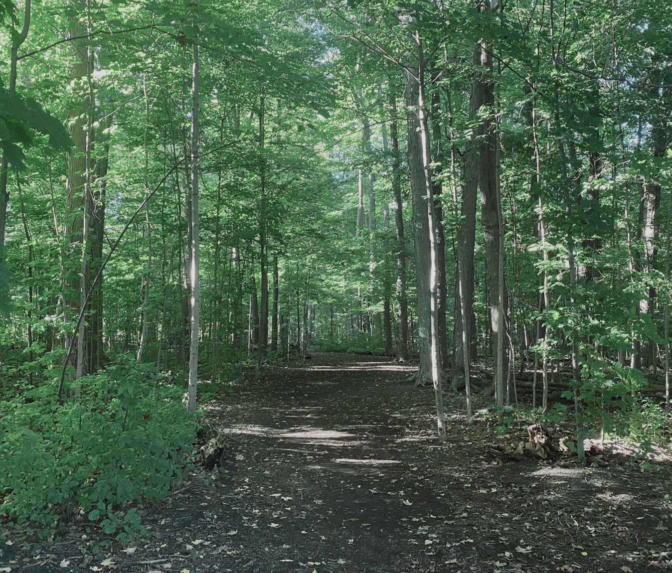 Vaughan/Vellore Trails — lifestyle amenity