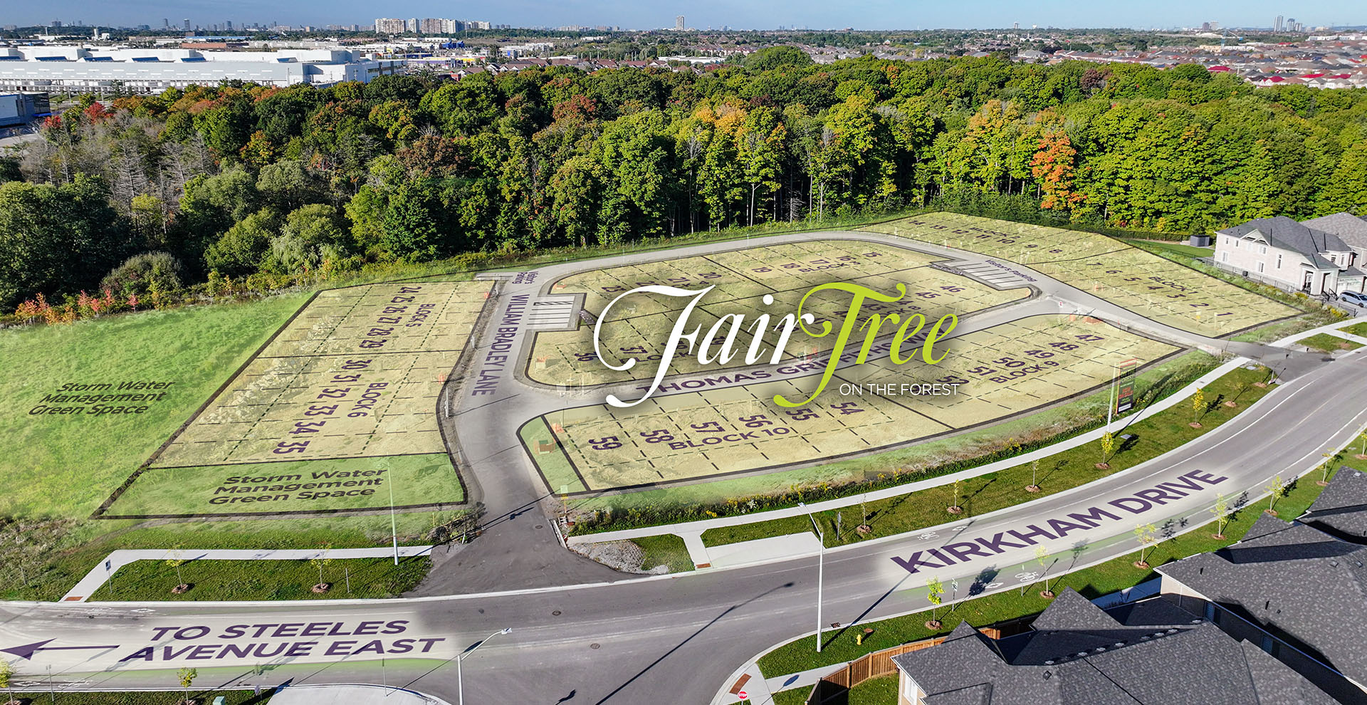 Fair Tree on the Forest — site map