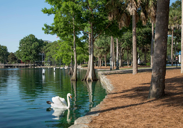 Camden Orange Court — lifestyle amenity