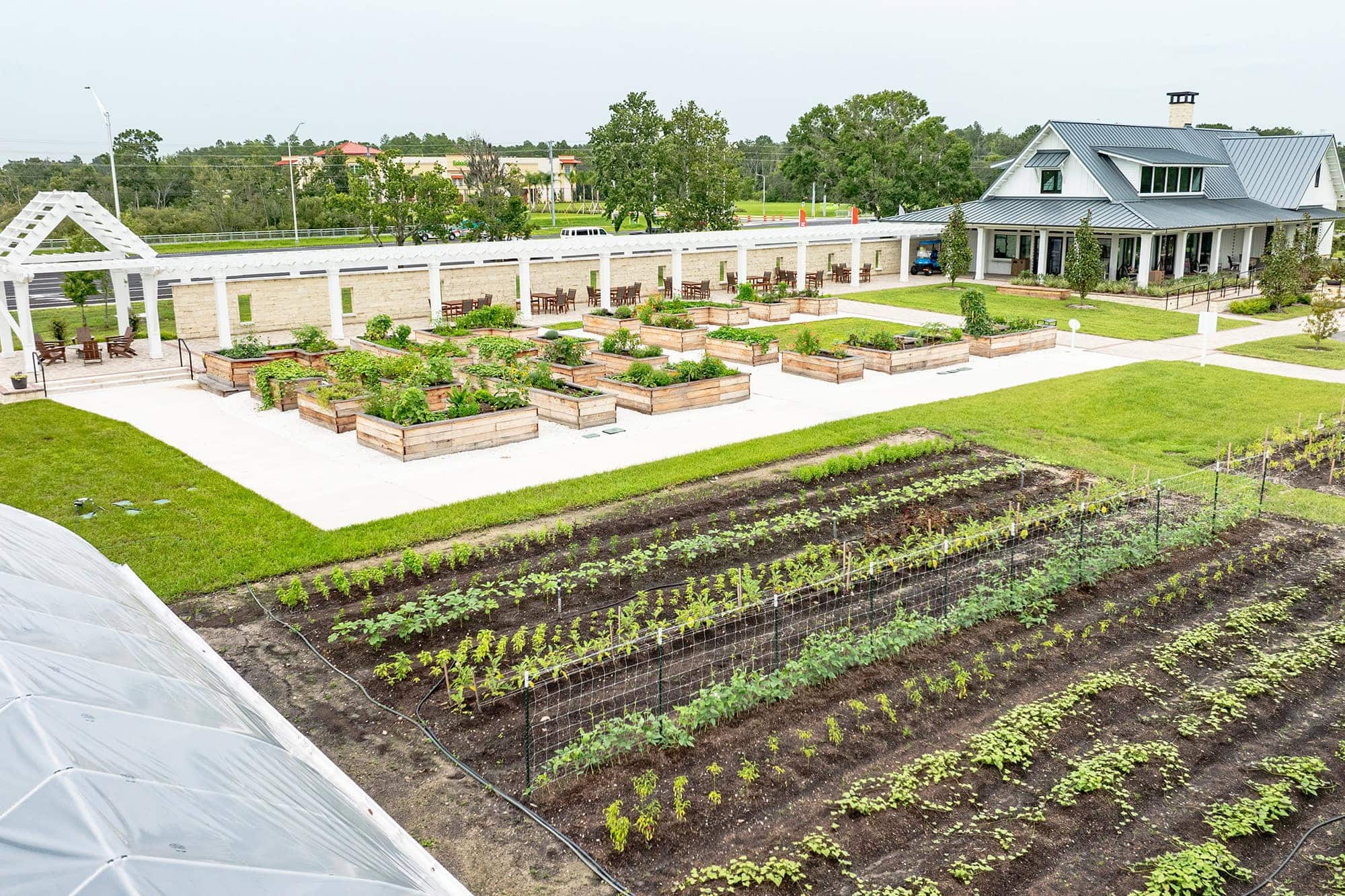 Angeline — lifestyle amenity