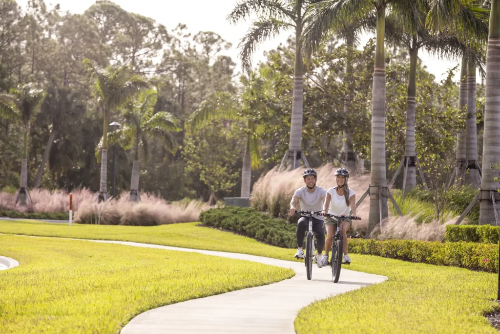 Wylder — lifestyle amenity