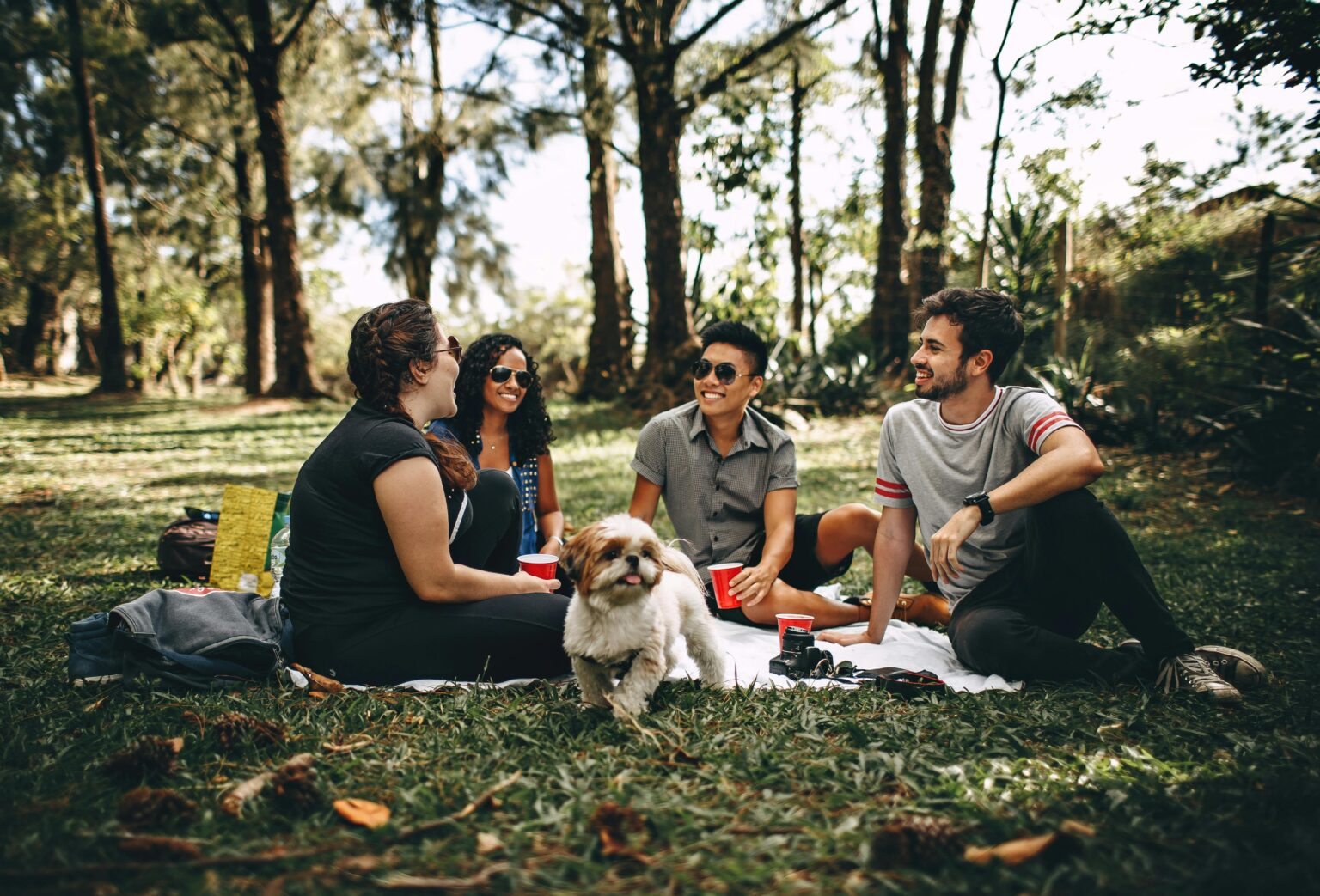 Wellwood — lifestyle amenity