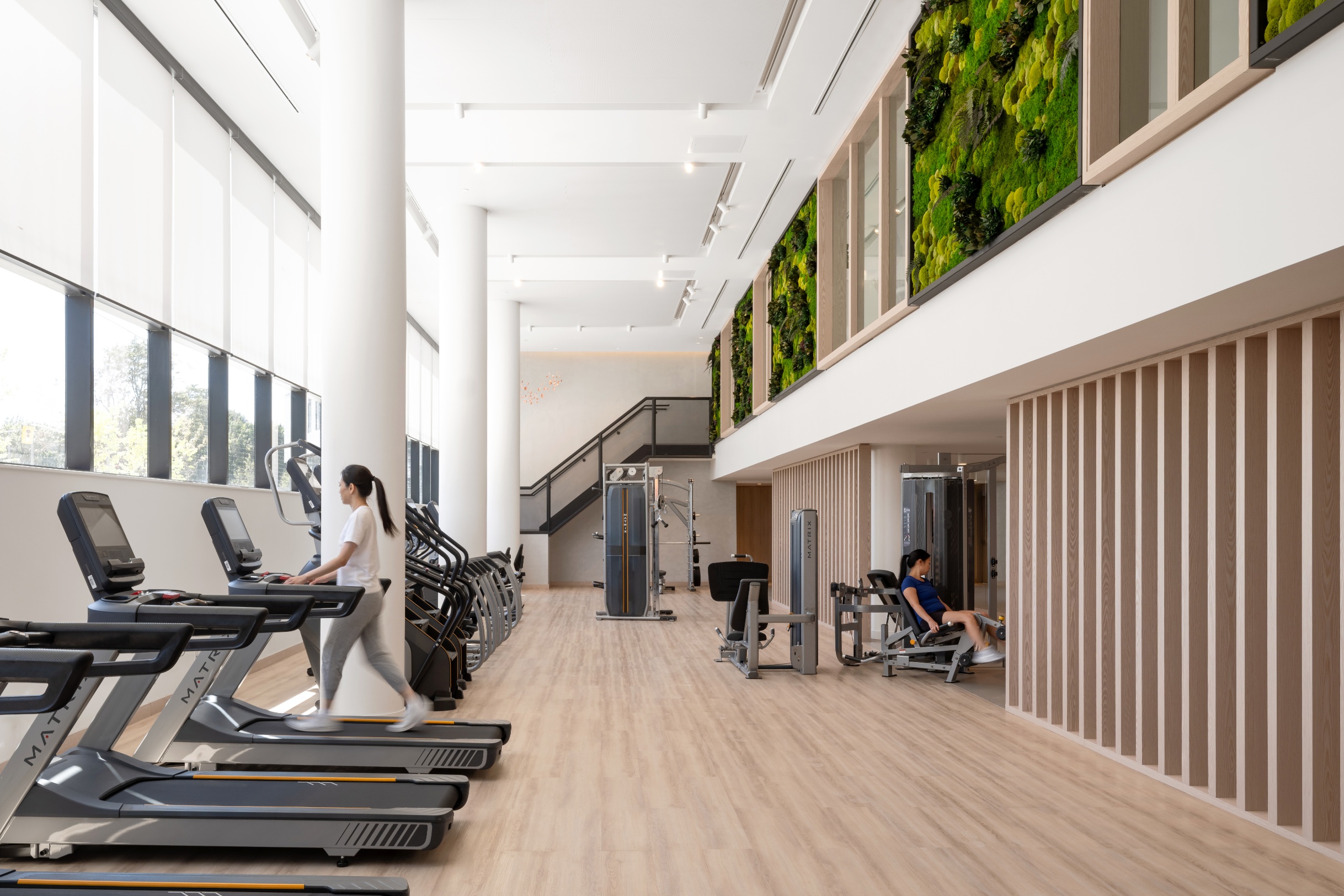 Queen & Ashbridge — interior rendering