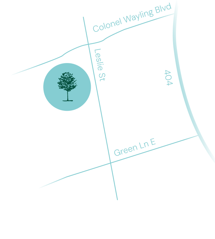 Walnut Creek — site map
