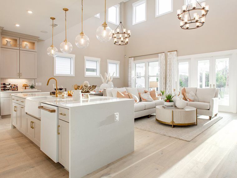 NatureWalk at Watersound Origins — interior rendering