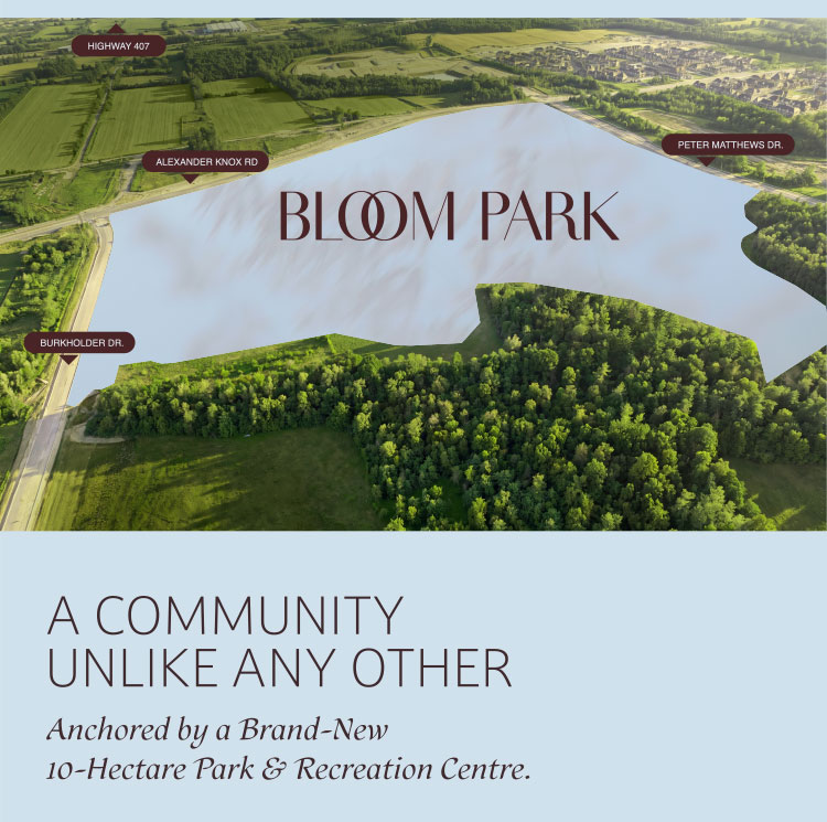 Bloom Park Seaton — aerial rendering
