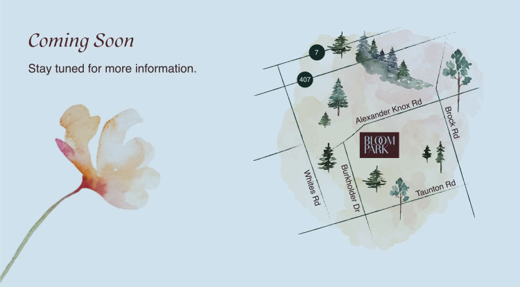 Bloom Park Seaton — site map