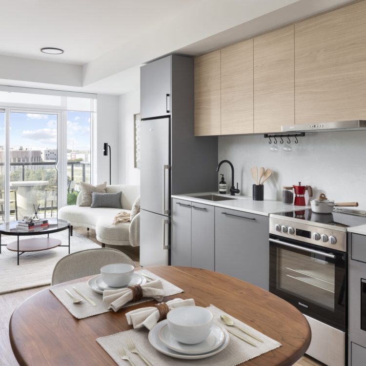 Bridge Suites — interior rendering
