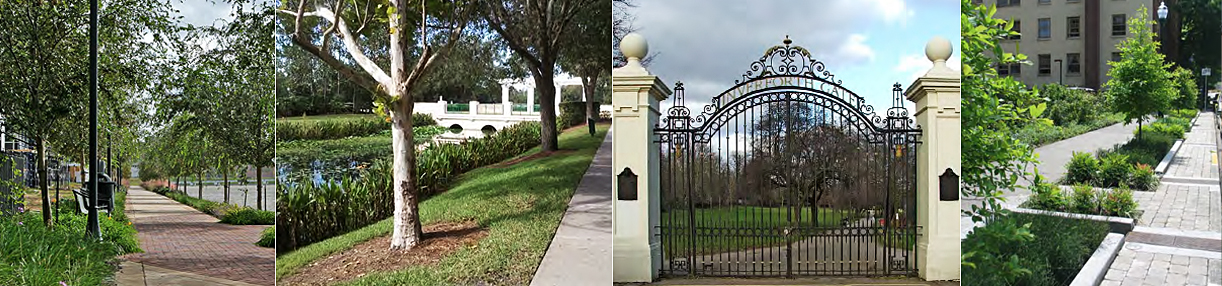 Somerset Green — lifestyle amenity