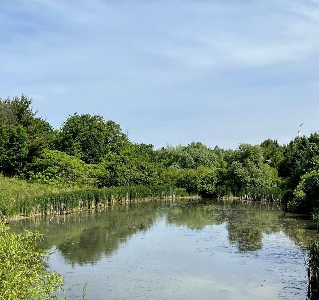 Unionville - Unionglen — lifestyle amenity