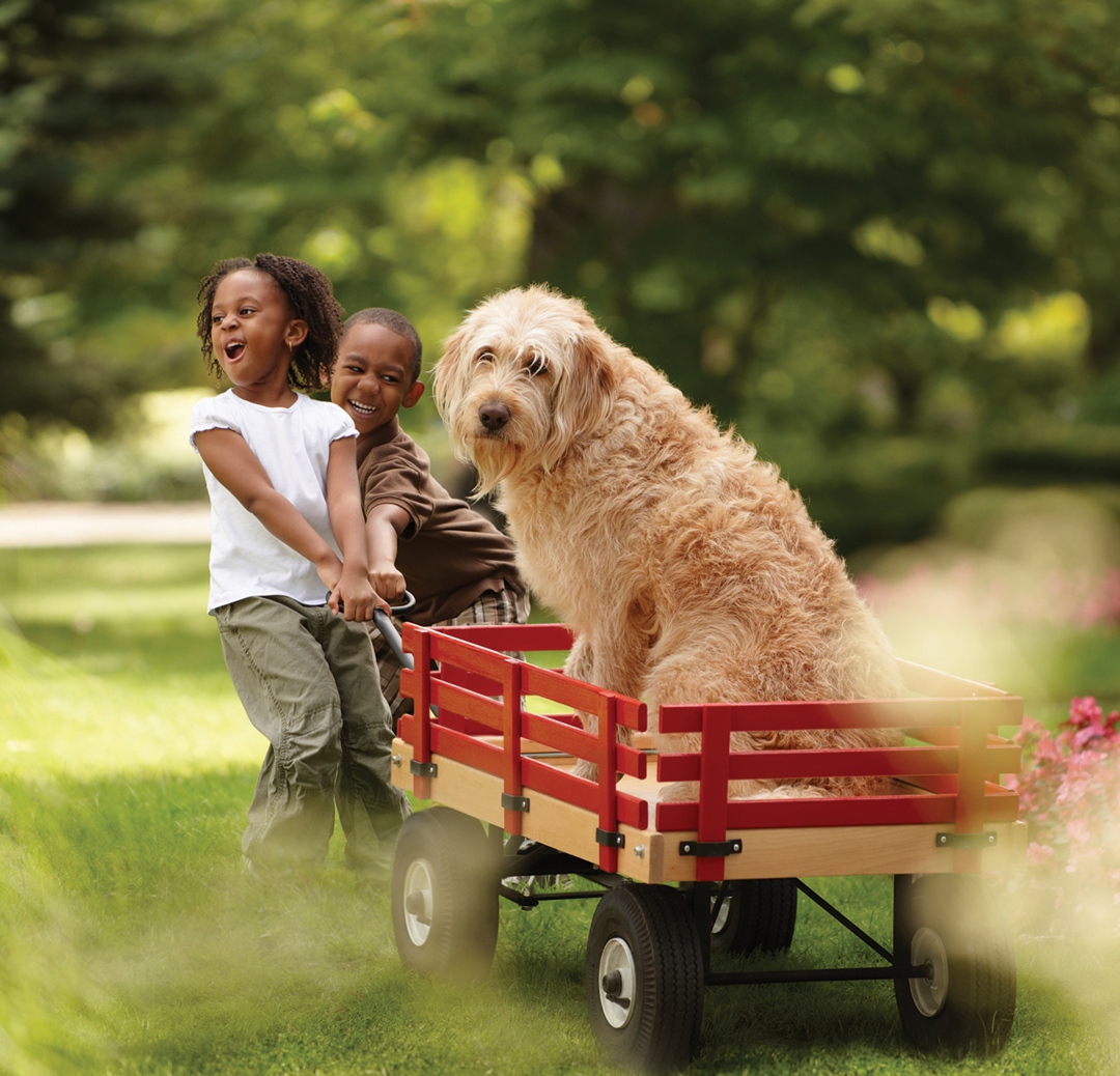 Meadowgreen — lifestyle amenity