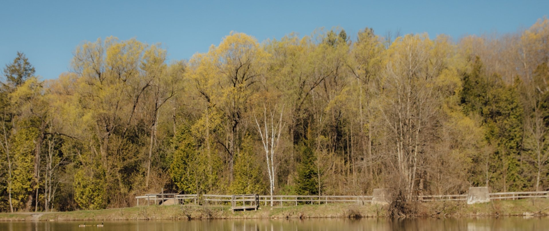 Limerick Point — lifestyle amenity