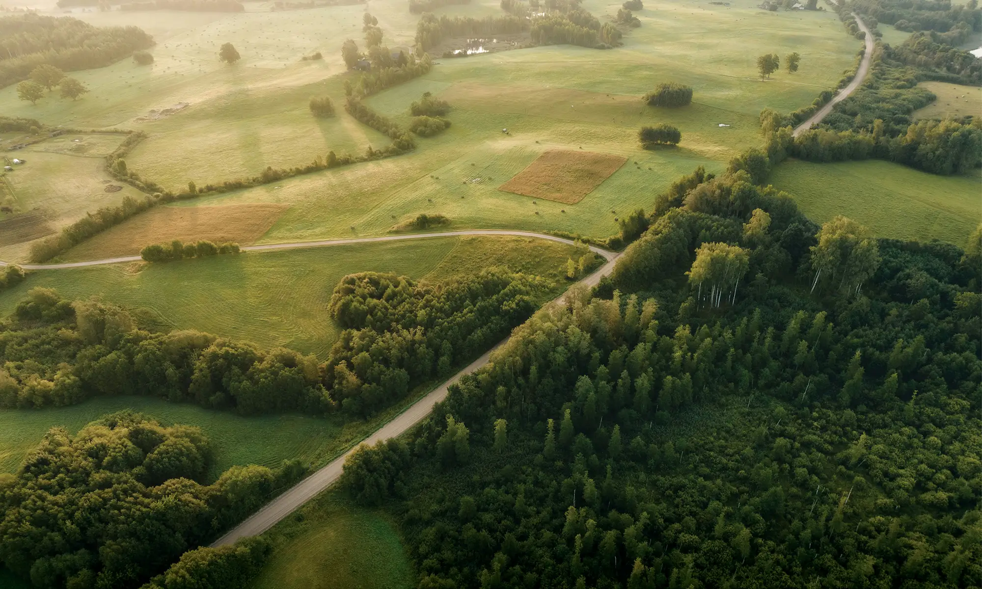 Kingsfield at Caledon Station — aerial rendering