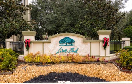 Live Oak Preserve — lifestyle amenity