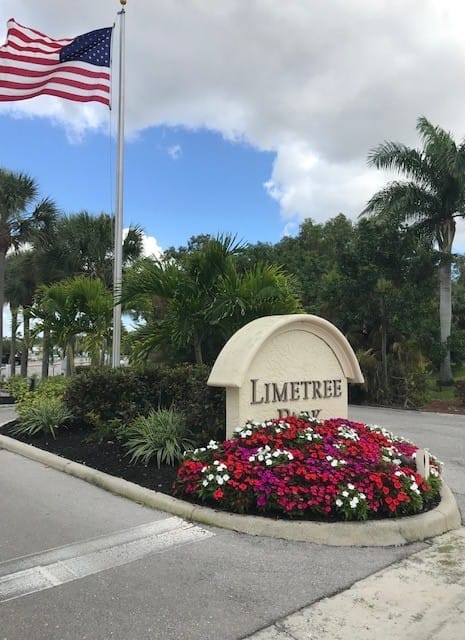 Limetree — lifestyle amenity
