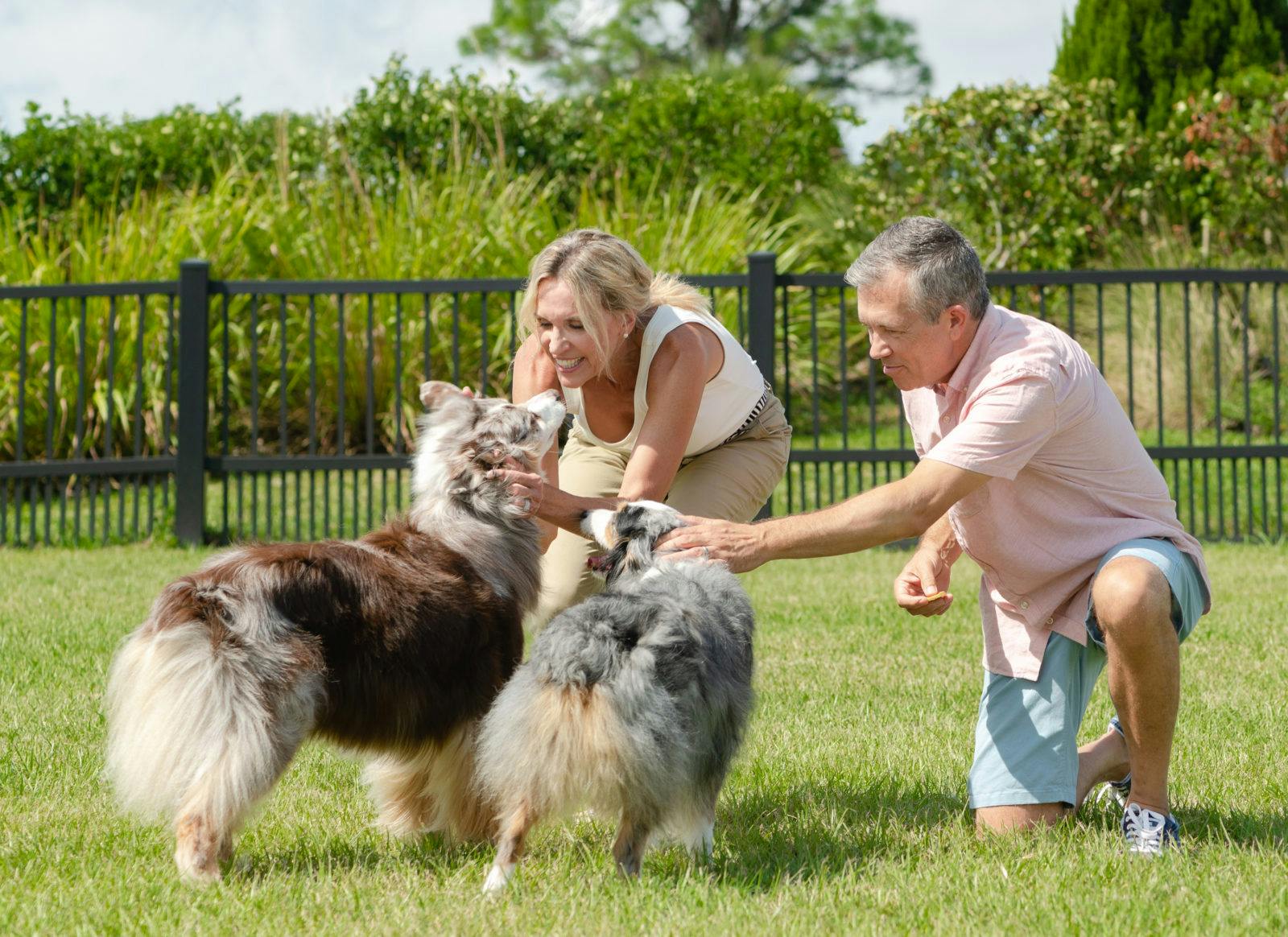 Windward — lifestyle amenity