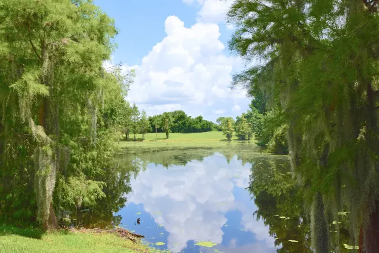 Lakes at Leesburg — lifestyle amenity