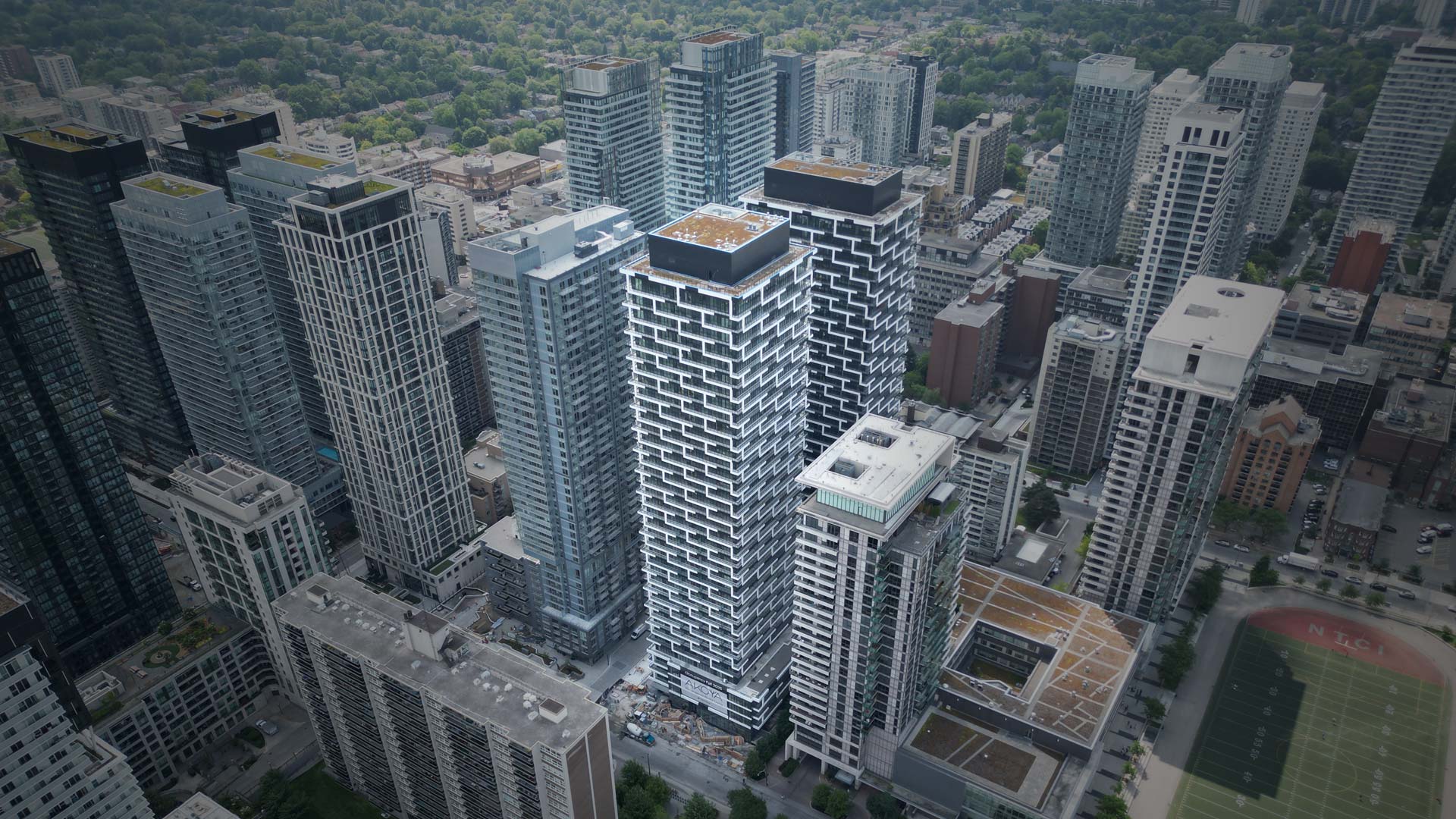 Akoya
