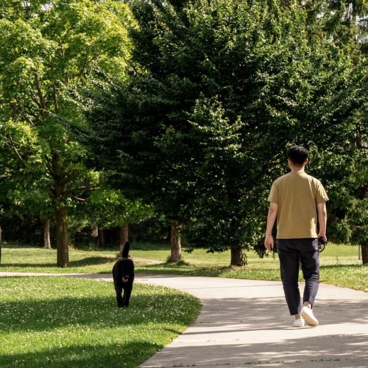 The Valley — lifestyle amenity