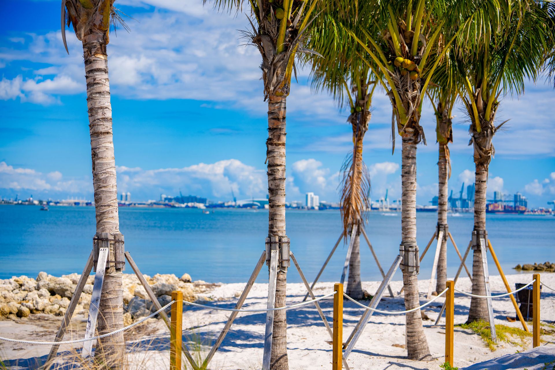 Shores Pointe — lifestyle amenity