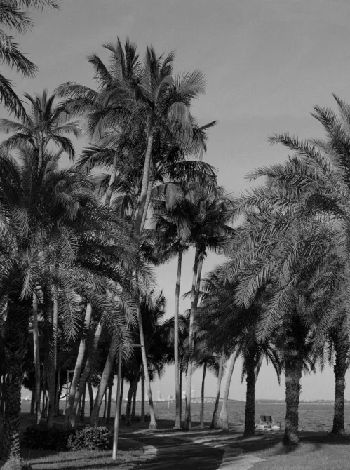 Four Seasons Private Residences Coconut Grove — lifestyle amenity