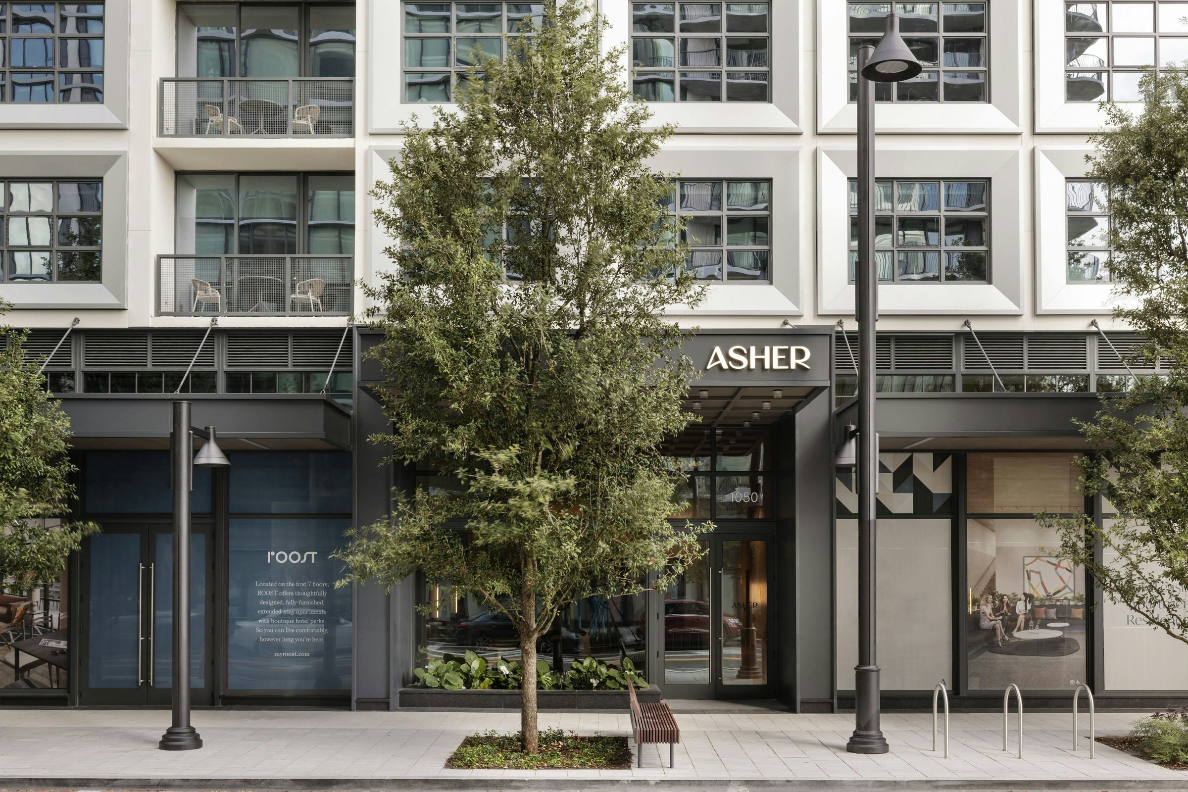 Asher / ROOST