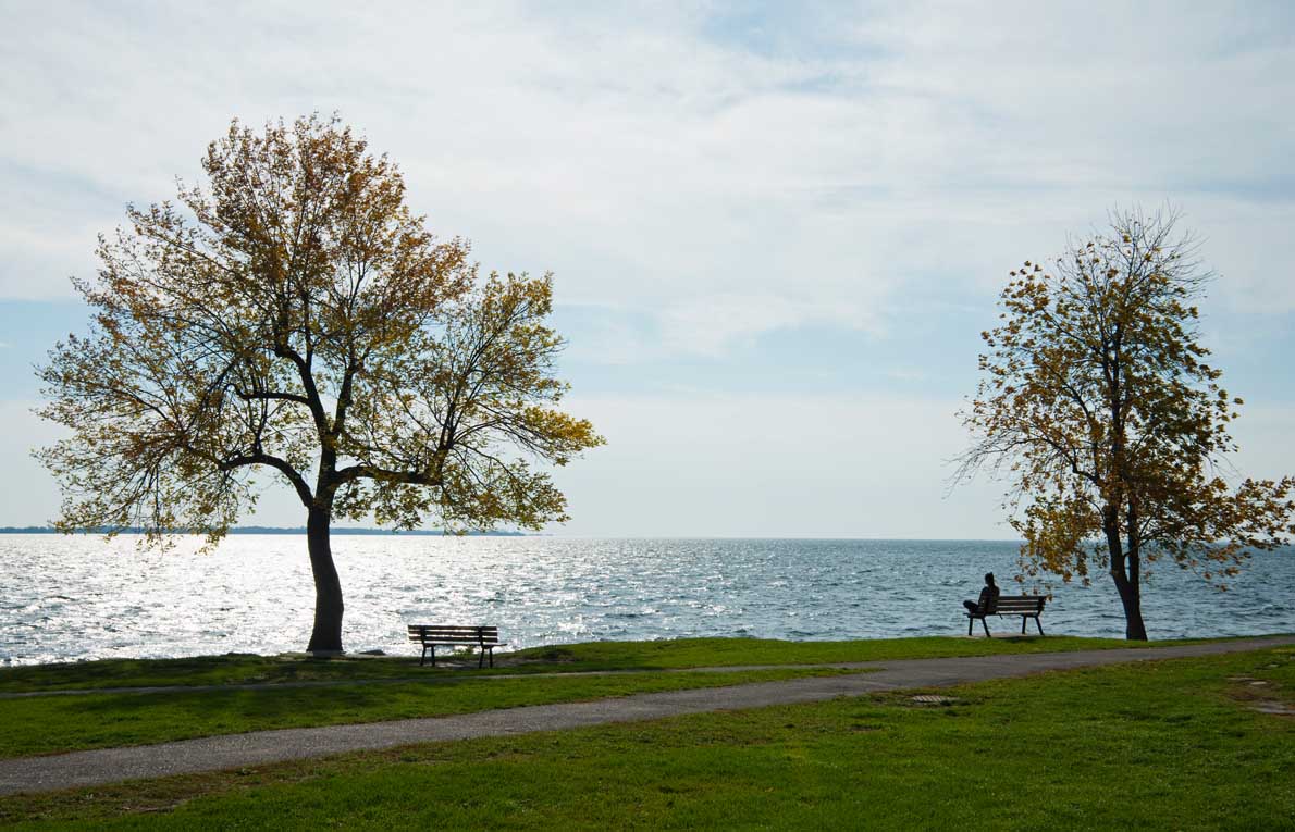 Westshore Towns — lifestyle amenity