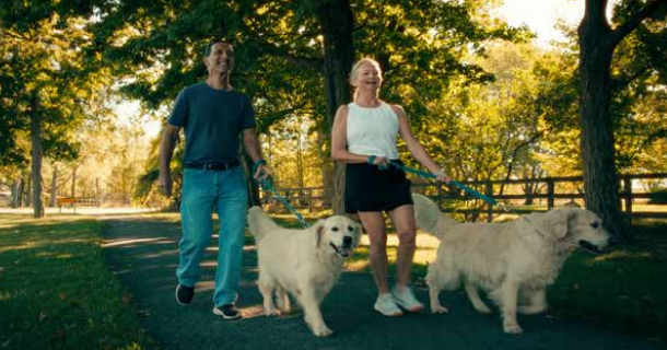 Waterford — lifestyle amenity