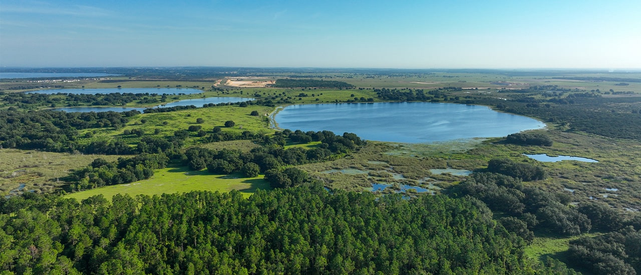Palma Del Lago — aerial rendering