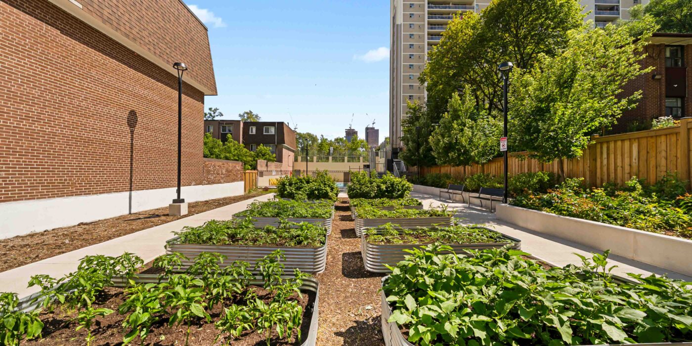 Bela Square — lifestyle amenity