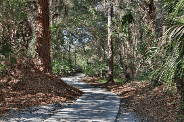 Park Creek — lifestyle amenity
