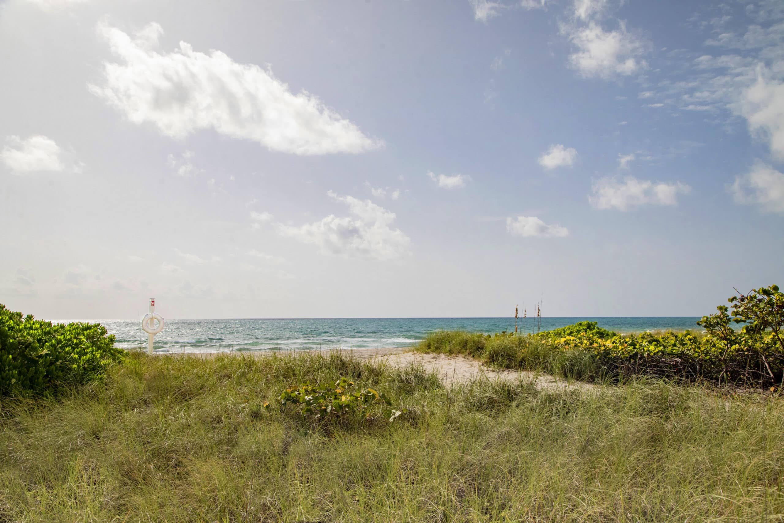 Surf Row Residences — lifestyle amenity