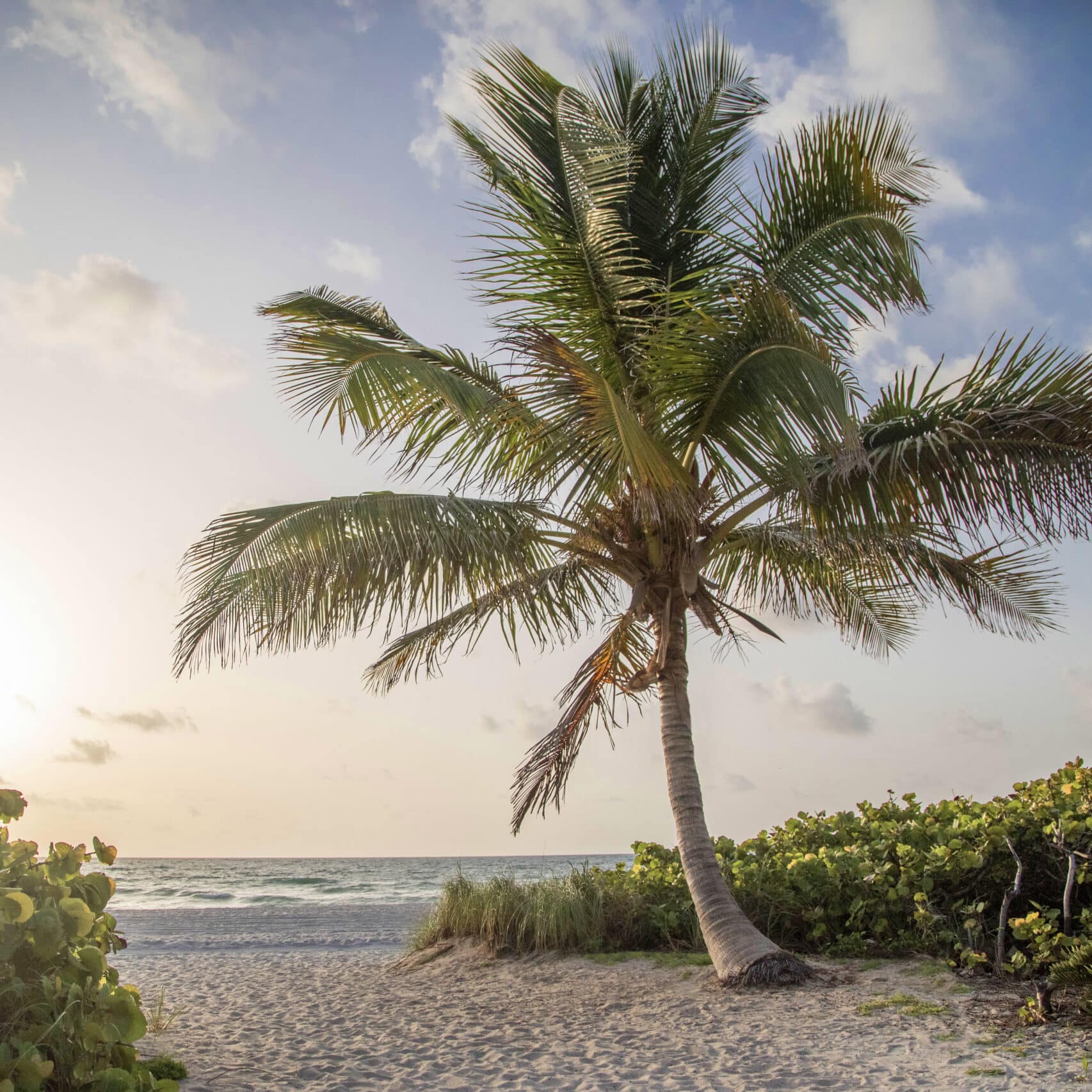 Surf Row Residences — lifestyle amenity